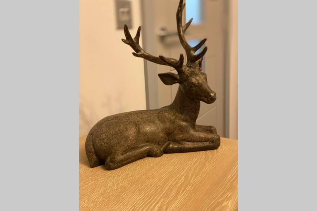Wee Ness Lodge Inverness Zewnętrze zdjęcie